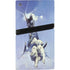 Sliver Warrior by Frazetta PS5 Pro Disk Bundle  Skin